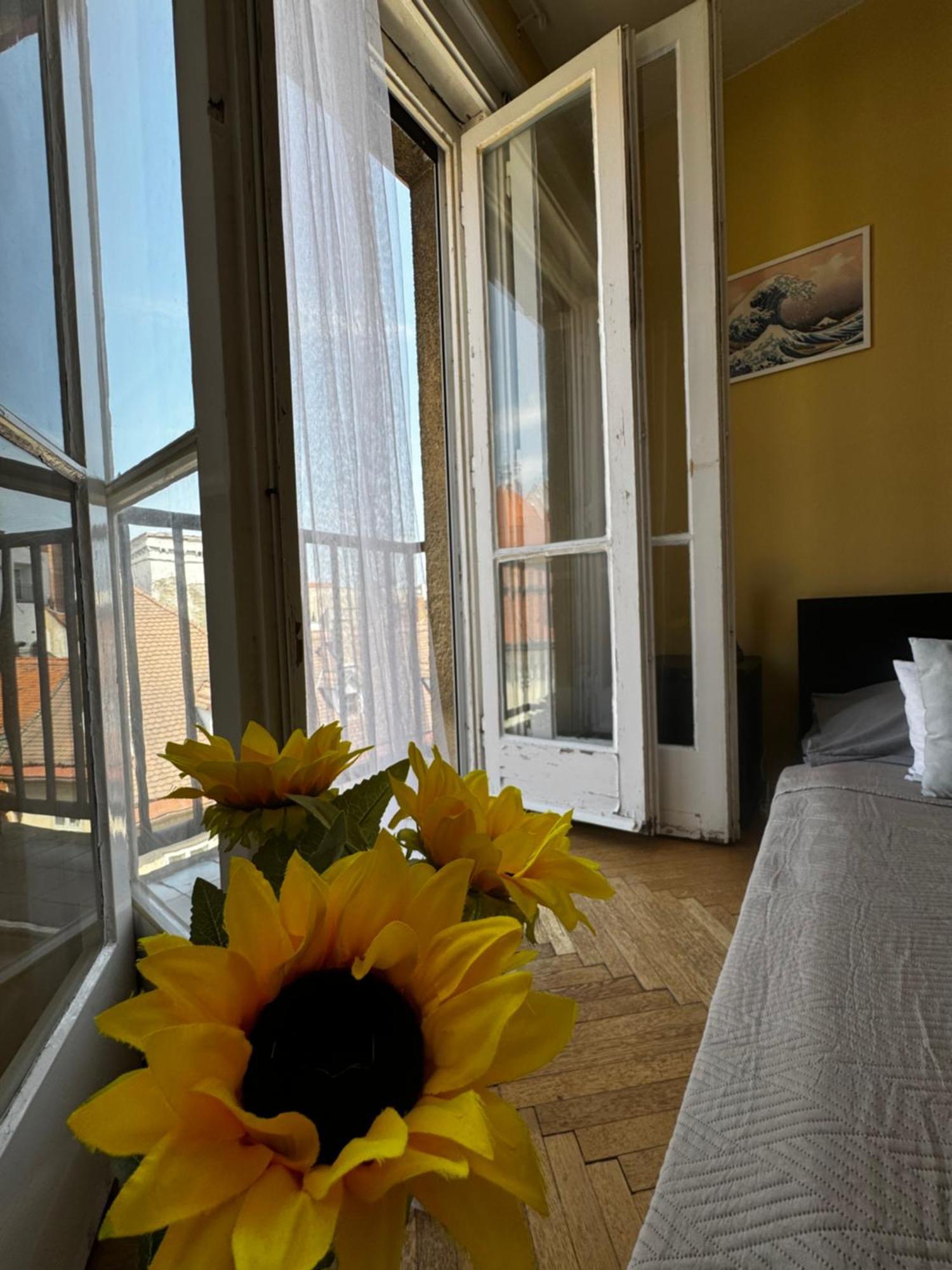 Extralarge Queen Room In The Heart Of Bratislava With Terrace Eksteriør bilde